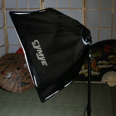 Рисующий софт бокс 160 ват